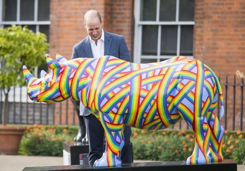 Duke Of Cambridge Menghadiri Perayaan 'The Tusk Rhino Trail'