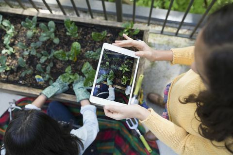 Gadis pandangan overhead dengan tablet digital memotret ibu berkebun