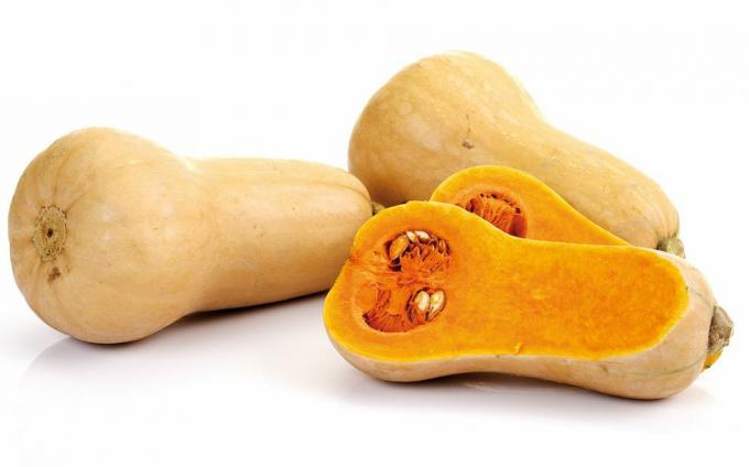 butternut squash di atas meja putih dari jenis labu