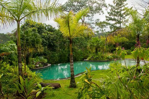 pemandangan kolam renang di pondok hutan hujan sarapiqui di virgen