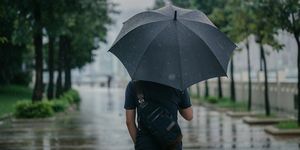 tampilan belakang laki-laki cerdas yang memegang payung dan berjalan di sepanjang taman di kota hujan