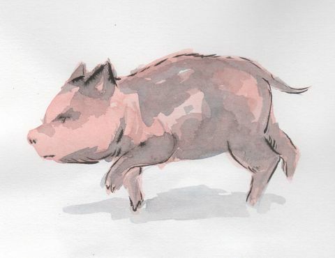 lukisan babi