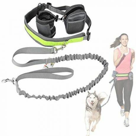 Hands Free Dog Walking And Running Belt