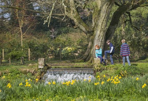 Anak-anak bermain di taman pada musim semi di Mottisfont, Hampshire © National Trust Images James Dobson