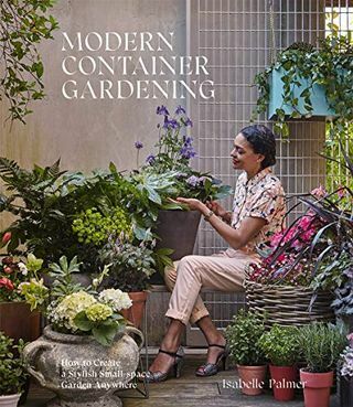 Berkebun Kontainer Modern: Cara Membuat Taman Ruang Kecil Bergaya Di Mana Saja
