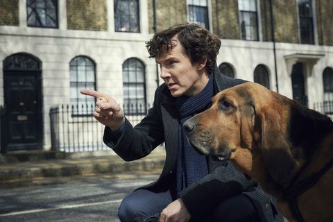 Benedict Cumberbatch sebagai Sherlock dengan anjing di acara TV BBC