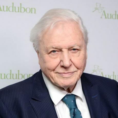 potret david attenborough