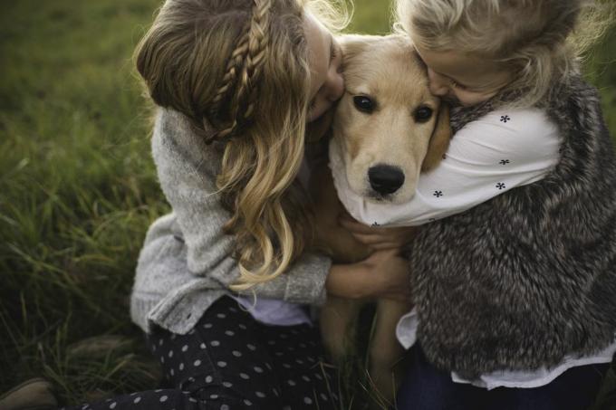 dua gadis muda memeluk anjing peliharaan, di luar ruangan