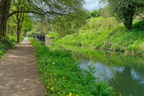 kanal stroudwater di bawah sinar matahari awal musim semi dekat kunci griffin, thrupp, stroud, cotswolds, gloucestershire, uk