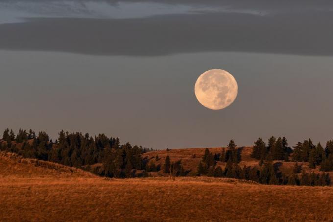 bulan panen di atas tanah pertanian di kamloops, british columbia, bulan purnama paling dekat dengan ekuinoks musim gugur dan hari pertama musim gugur
