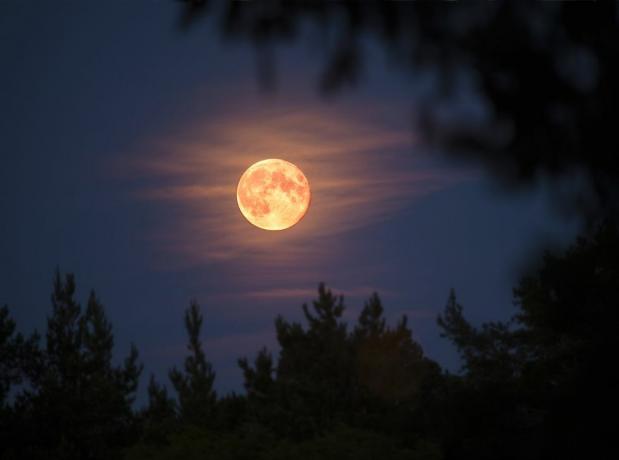 Apa Itu Bulan Pemburu? Kisah Menarik di Balik Bulan Purnama di Bulan Oktober