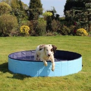 Rosewood Cool Down Lipat Dog Pool