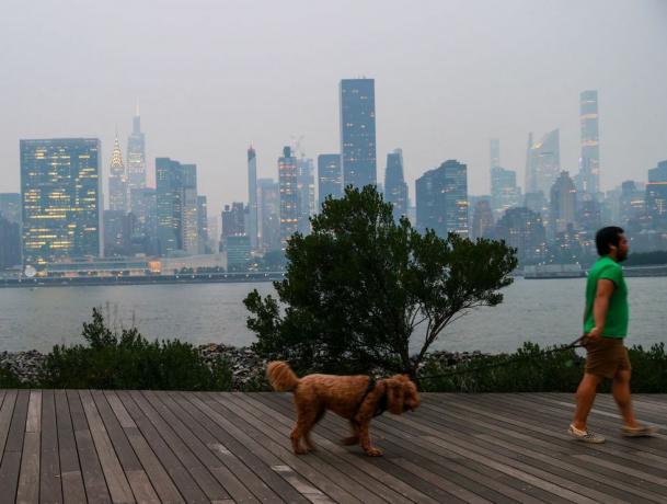 pria berjalan anjingnya selama kualitas udara yang buruk