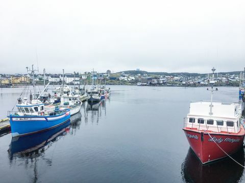 Bonavista