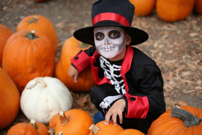 anak-anak halloween bermain trik atau memperlakukan anak laki-laki dengan kostum halloween kerangka dengan topi dan smocking antara labu oranye anak-anak halloween