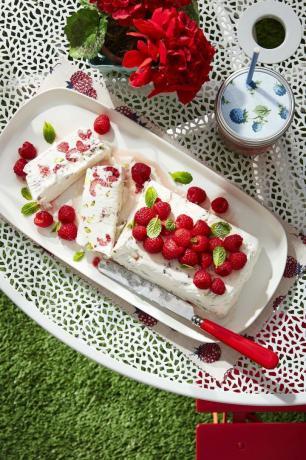 raspberry pistachio semifreddo