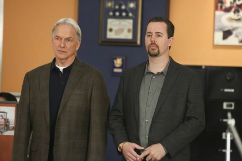 ncis menandai harmonis sean murray