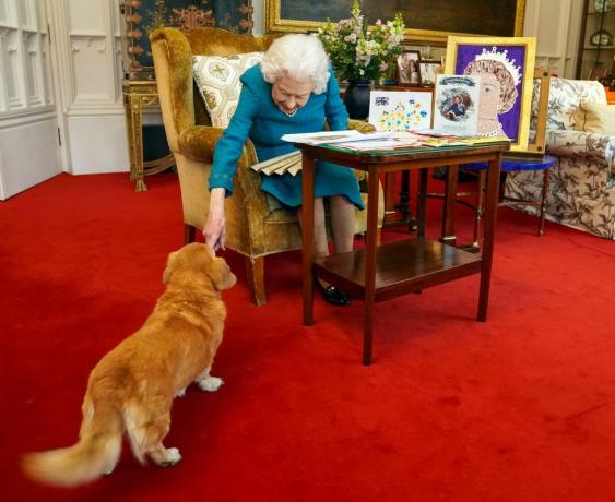 Apa yang Terjadi pada Anjing-anjing Ratu Elizabeth Sekarang Setelah Dia Meninggal?