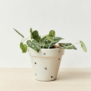 Pot tanaman indoor yang dilukis dengan tangan 