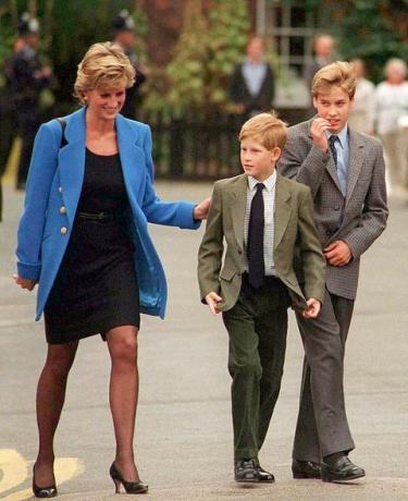 Pangeran William Mengatakan Dia Dan Pangeran Harry Membiarkan Puteri Diana Turun Dan Tidak Bisa Melindunginya Di BBC Documentary