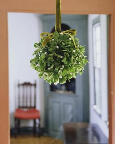 dekorasi mistletoe