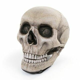 Kursi Bean Bean Skull