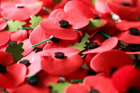 British Legion memperkenalkan dua bunga poppy edisi terbatas untuk Remembrance Sunday 2018