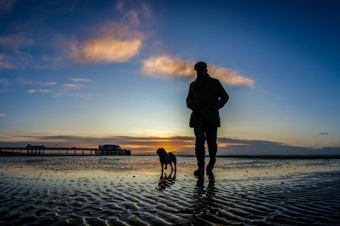 Pria berjalan dengan anjing di pantai berpasir