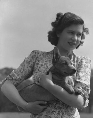 putri elizabeth ratu elizabeth ii digambarkan memegang corgi di halaman kastil windsor, berkshire, britania raya, 30 mei 1944 foto oleh lisa sheridanstudio lisahulton archivegetty images