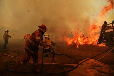 Kebakaran Hutan Terus Membara Di NSW Saat Kondisi Kebakaran Bencana Mereda