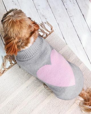 Love Heart Wool Dog Jumper