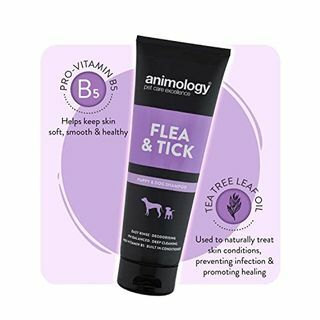 Animology Flea and Tick Shampoo Untuk Anjing