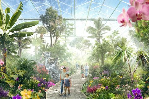 floriade 2022 semua yang perlu Anda ketahui tentang festival taman