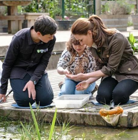 Taman Kate Middleton Blue Peter