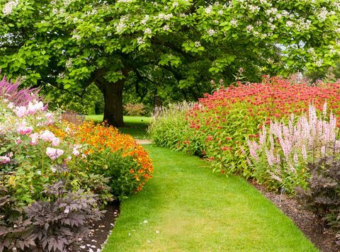 kebun masyarakat kerajaan hortikultura