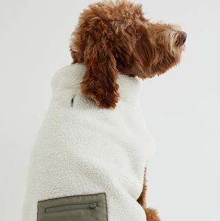 Jaket anjing shearling imitasi dengan detail saku