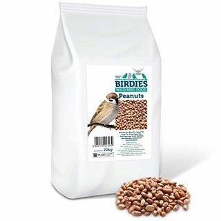 Kacang Premium Birdies