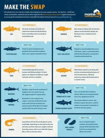 Panduan ikan Marine Conservation Society