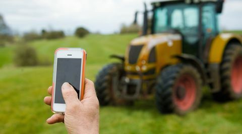 Pemerintah menyerukan strategi digital pasca-Brexit untuk membuat memulai bisnis pedesaan lebih mudah dari sebelumnya