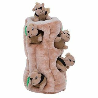 Outward Hound Hide-A-Squirrel Squeaky Puzzle Mainan Anjing Mewah - Aktivitas Sembunyikan dan Cari untuk Anjing