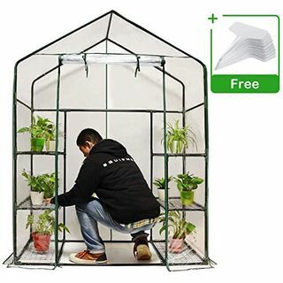 Mini Walk-in Green House yang luar biasa