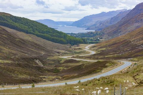 Inggris Raya, Skotlandia, Taman Nasional Cairngorms, Pegunungan Cairngorm, pemandangan horizontal padang rumput di musim gugur di daerah pegunungan