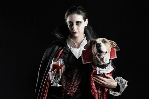 wanita muda dengan segelas minuman merah dan anak anjing peliharaannya mengenakan kostum drakula yang sama