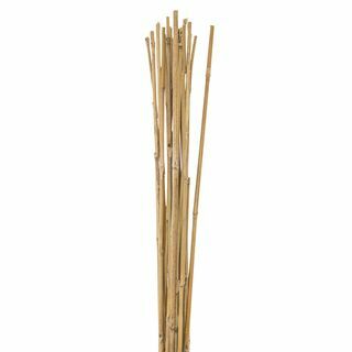 Tongkat bambu