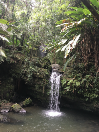 Lubang renang air terjun El Yunque