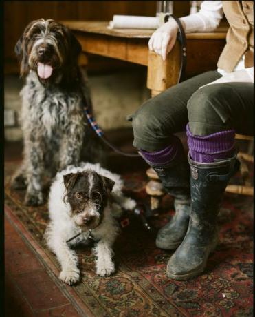 fashion wellies dog