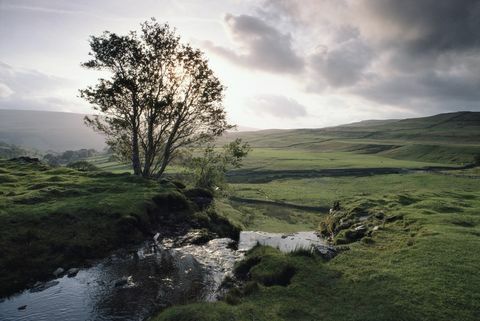 lembah yorkshire