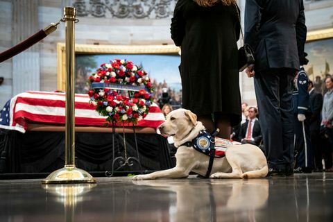 Presiden George H.W. Bush terletak di negara bagian di AS