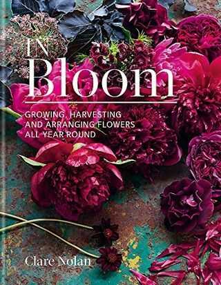 In Bloom: Menanam, memanen, dan merangkai bunga sepanjang tahun