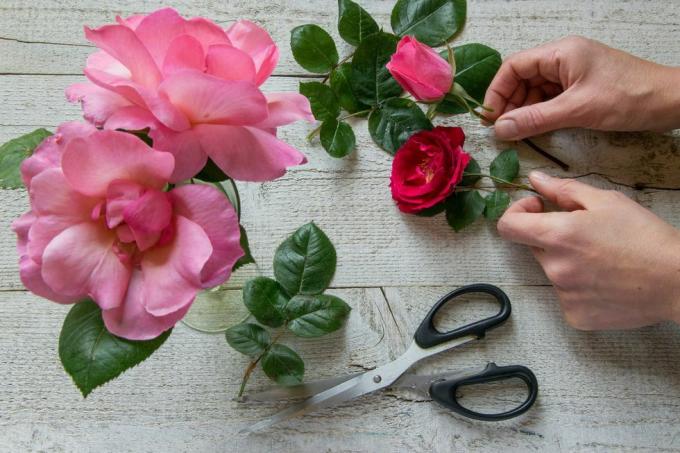 gambar terpotong dari toko bunga memegang mawar dengan bunga di atas meja